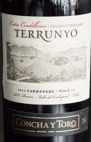 Вино Terrunyo Carmenere 2012 0.75 л