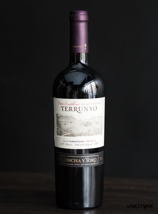 Вино Terrunyo Carmenere 2012 0.75 л
