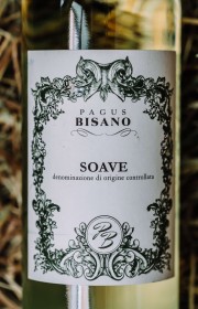 Вино Soave Pagus Bisano 2017 0.75 л